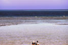 Egitto, coppia in contemplazione del mare, a Hurghada