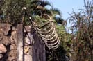 San Salvador, misure di sicurezza 'estreme' in una villa: filo spinato elettrificato