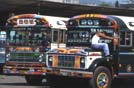San Salvador, colorati bus locali