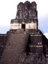 Guatemala, alla citt maya di Tikal, nella giungla del Petn