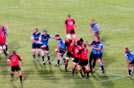 Sudafrica, match di rugby: copia campioni sudafrica/Nuova zelanda